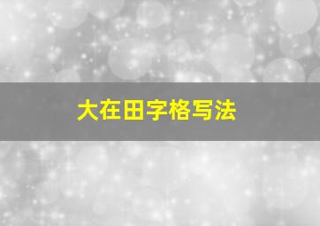 大在田字格写法