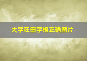 大字在田字格正确图片