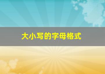 大小写的字母格式