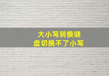 大小写转换键盘切换不了小写