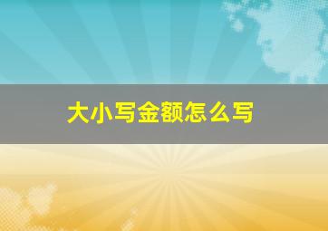 大小写金额怎么写