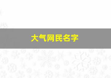 大气网民名字