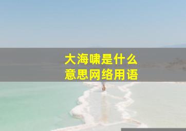 大海啸是什么意思网络用语