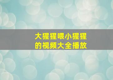 大猩猩喂小猩猩的视频大全播放