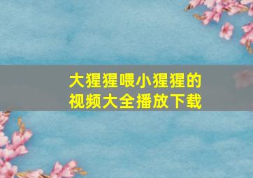 大猩猩喂小猩猩的视频大全播放下载