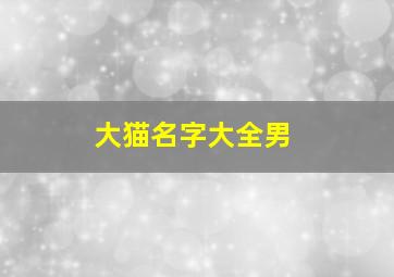 大猫名字大全男