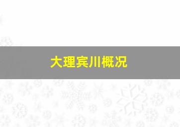 大理宾川概况