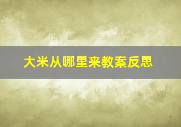 大米从哪里来教案反思