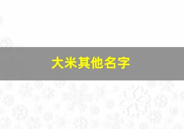 大米其他名字