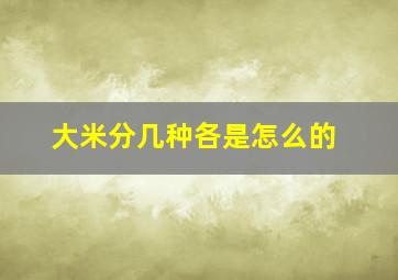 大米分几种各是怎么的