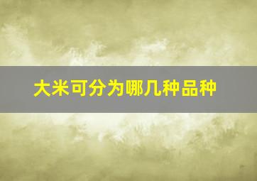 大米可分为哪几种品种