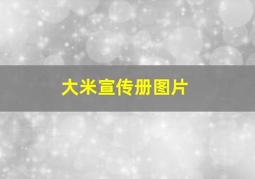 大米宣传册图片