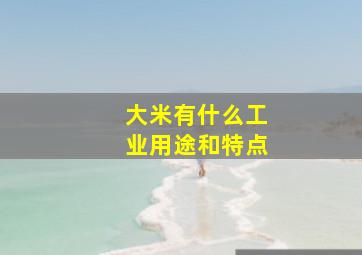 大米有什么工业用途和特点