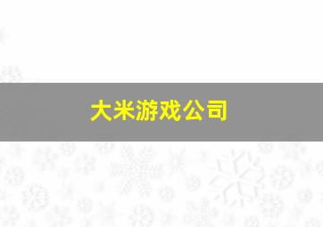 大米游戏公司