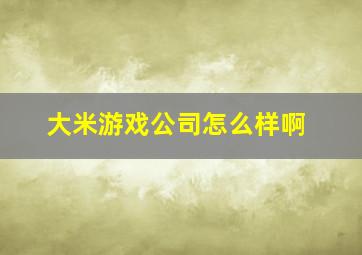 大米游戏公司怎么样啊