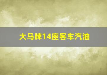 大马牌14座客车汽油