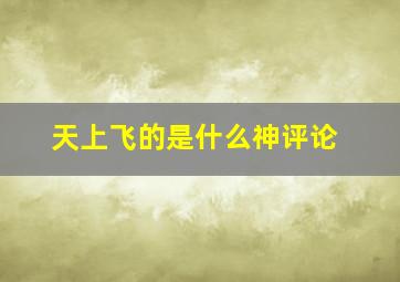 天上飞的是什么神评论