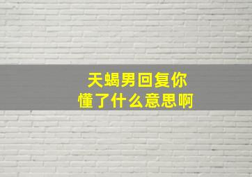 天蝎男回复你懂了什么意思啊