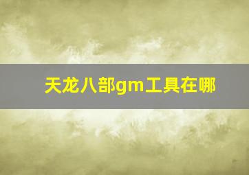 天龙八部gm工具在哪