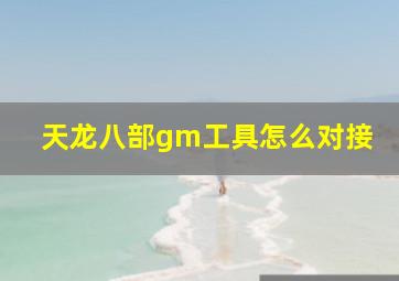 天龙八部gm工具怎么对接