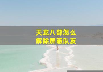 天龙八部怎么解除屏蔽队友