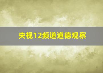 央视12频道道德观察