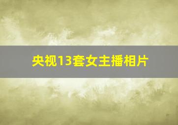 央视13套女主播相片