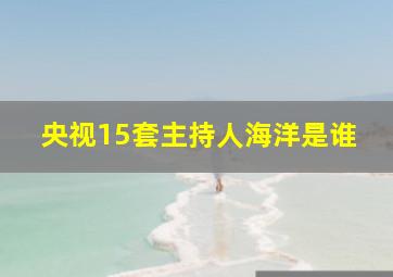 央视15套主持人海洋是谁