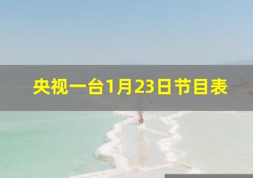 央视一台1月23日节目表