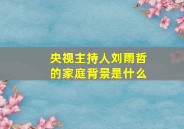 央视主持人刘雨哲的家庭背景是什么