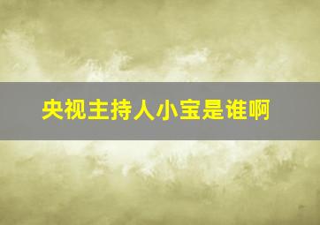 央视主持人小宝是谁啊