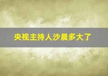 央视主持人沙晨多大了