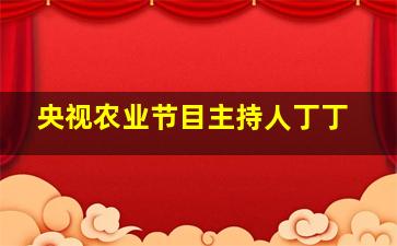 央视农业节目主持人丁丁