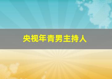 央视年青男主持人