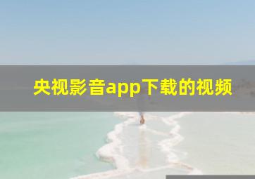 央视影音app下载的视频