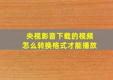 央视影音下载的视频怎么转换格式才能播放