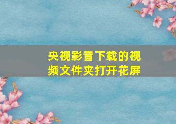 央视影音下载的视频文件夹打开花屏