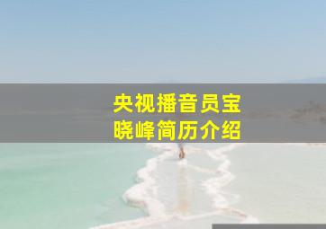 央视播音员宝晓峰简历介绍