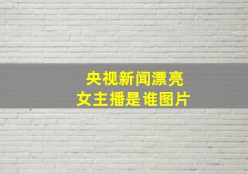 央视新闻漂亮女主播是谁图片