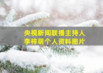 央视新闻联播主持人李梓萌个人资料图片