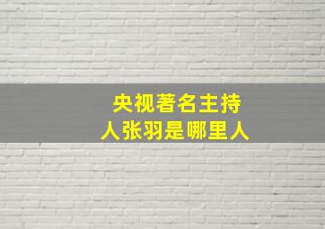 央视著名主持人张羽是哪里人