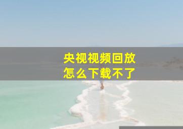 央视视频回放怎么下载不了