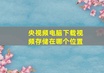 央视频电脑下载视频存储在哪个位置