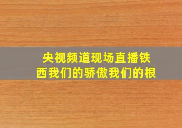 央视频道现场直播铁西我们的骄傲我们的根