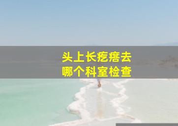 头上长疙瘩去哪个科室检查