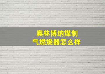 奥林博纳煤制气燃烧器怎么样