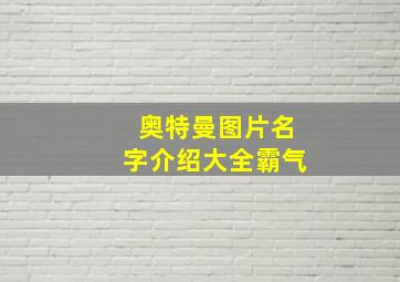 奥特曼图片名字介绍大全霸气