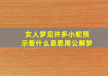 女人梦见许多小蛇预示着什么意思周公解梦