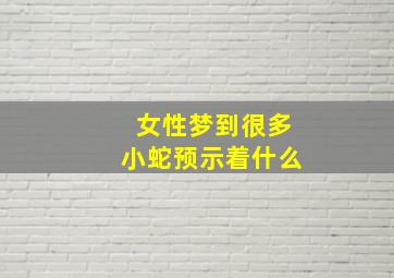 女性梦到很多小蛇预示着什么