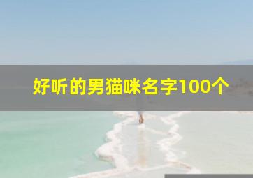 好听的男猫咪名字100个